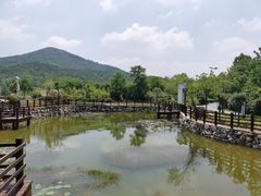 -石塘人家