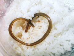 -绿地·中山里