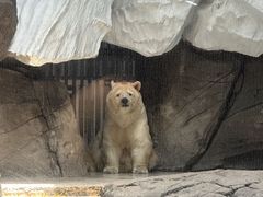 -海合安武汉极地海洋公园
