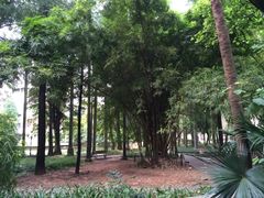 -中山大学学者灵芝(园南路店)
