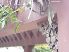 -碧江金楼
