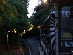 -清迈夜间动物园