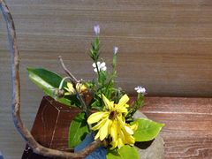 -西安华清御汤酒店