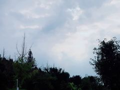 -仙海旅游度假区