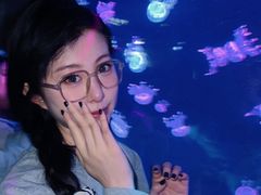-石家庄极地海洋世界