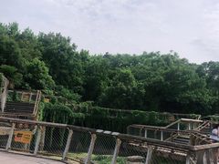 -南昌动物园