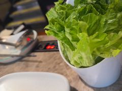 -淘米捞·米汤脆鲩鱼火锅(福田皇岗店)