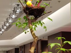 -广州酒家(中华广场店)