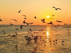 -老虎石海上公园