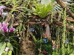 -北京植物园-展览温室