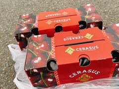 -唐桥水果批发市场