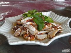 -上海都市菜园