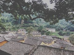 -杨家堂村