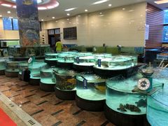 水产区-东豪园林海鲜酒家(南港路辅路店)