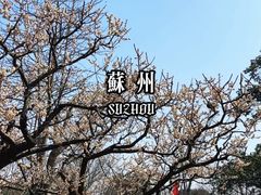 -雨花胜境