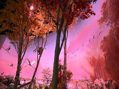 -中国湿地博物馆