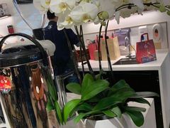 大堂-Peet's Coffee皮爷咖啡(德基店)