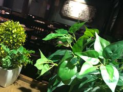 -龙门烤鱼(东方宝泰店)