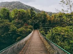 -天台国家森林公园水上茶乡九鹏溪