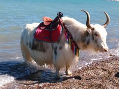 -青海湖国家重点风景名胜区