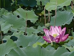 -上海市保健医疗中心