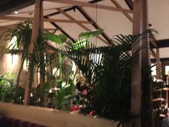 露天位-大头椰·椰子鸡火锅(南宁万象城店)