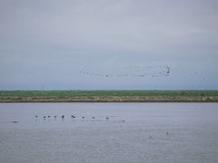 景点-青海湖国家重点风景名胜区