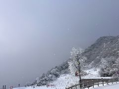 -九皇山景区