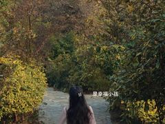 -看见远方·莫干遥远的山民宿