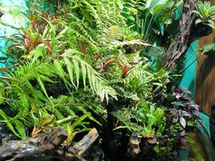 -太平洋海底世界