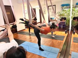 -Yvon yoga 瑜伽·精准体态管理中心