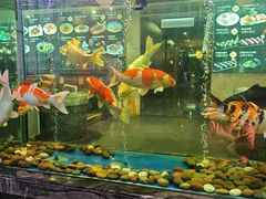 -寻味顺德·珍之宝酒楼(银钻店)