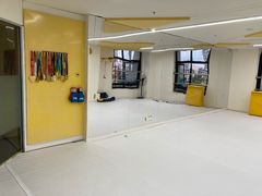 -勇气斑马·巴西柔术&跆拳道(浦东三林店)