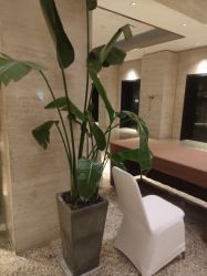 -上海金桥红枫万豪酒店·宴会厅