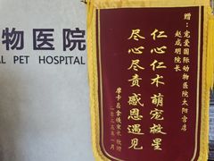-宠爱国际动物医院·疑难骨科·心肾内科·皮肤科(太阳宫店)