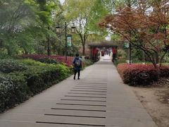 -白马涧龙池景区