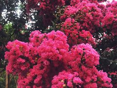 -杭州城北体育公园