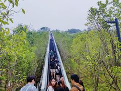 -千岛湖天屿景区