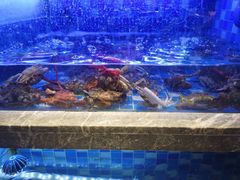 -奢谷·海鲜自助(南海万科店)