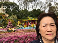 -共青国家森林公园-售票处