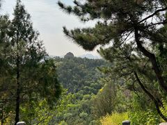 -磬锤峰森林公园