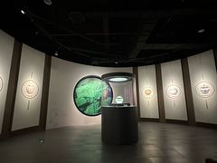 -四川宋瓷博物馆