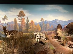 -陕西自然博物馆