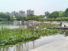 -新江湾城公园