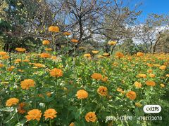 -名花谷生态庄园