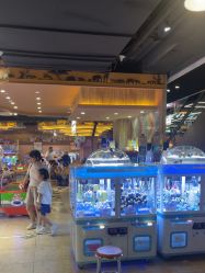 -卡通尼·Safari非洲探索乐园·生日会(金桥国际商业广场店)