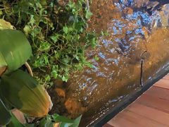 -邈墨茶馆(凤起路店)