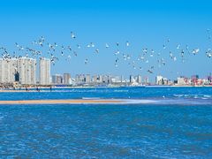-金梦海湾浴场