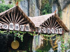 -西双版纳原始森林公园