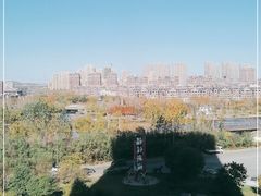 -前关湿地公园